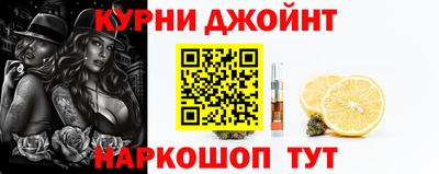 сатива Краснознаменск