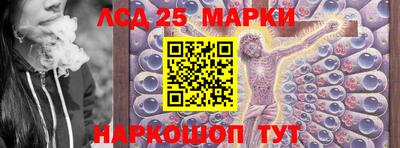 сатива Краснознаменск