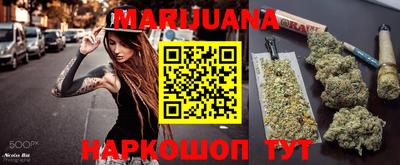сатива Краснознаменск