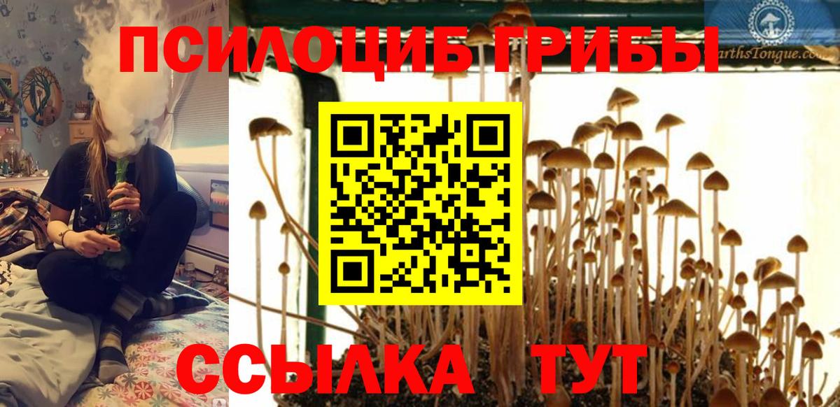 Галлюциногенные грибы Magic Shrooms Киров