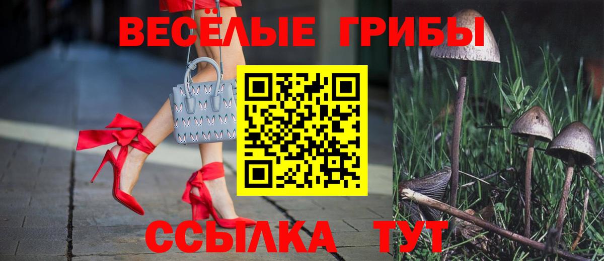 Псилоцибиновые грибы мухоморы  Псилоцибиновые грибы мицелий  Вход с VPN  Киров 